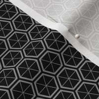 Hexagons in Black