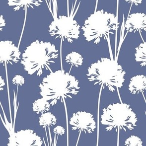 White airy dandelions on a blue background