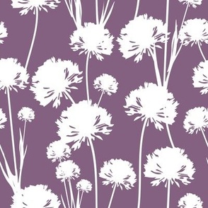 White airy dandelions on a purple background 