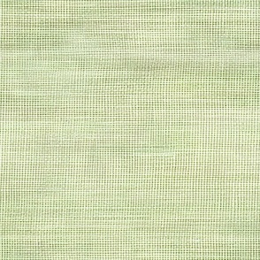 Light Green Linen