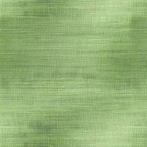 Grass Green Texture