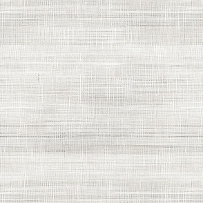 White & Gray Texture