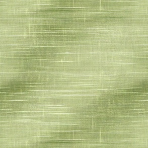 Light Olive Green Texture