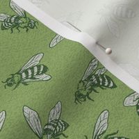 Hand- Drawn Honey Bees in Green