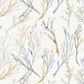 Twigs ~ Winter White