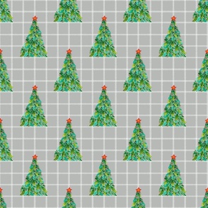 Silver Serene Pine, Christmas Trees, Small 6x6