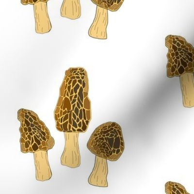 Morel mushrooms (white)