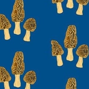 Morel mushrooms (blue)