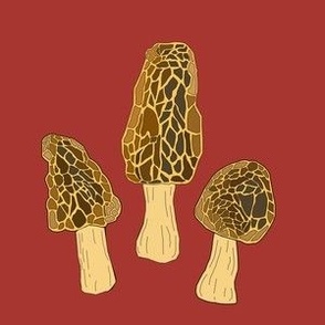 Morel mushrooms (red)