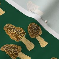 Morel mushrooms (green)