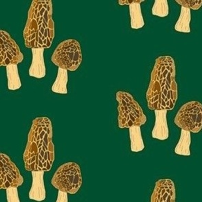 Morel mushrooms (green)