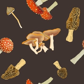 Mixed mushrooms (brown)