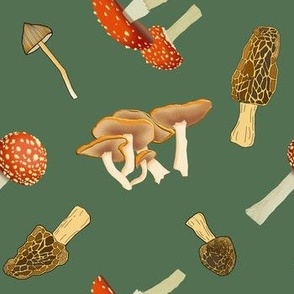 Mixed mushrooms (green)