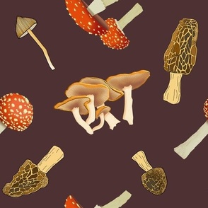 Mixed  mushrooms (maroon)
