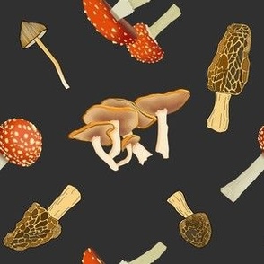 Mixed mushrooms (black)