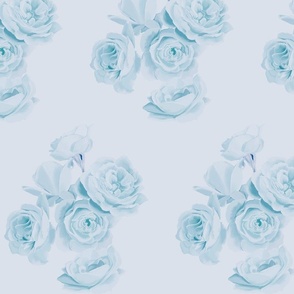 [Medium] Light Blue Roses