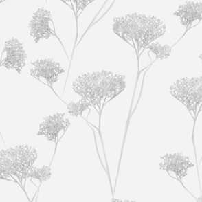 large scale // botanical - baby's breath - white light neutral gray grey