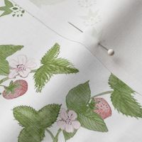 Strawberry Trellis Pink red and Green on White