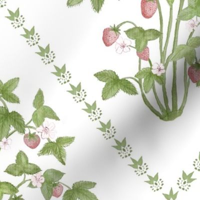 Strawberry Trellis Pink red and Green on White