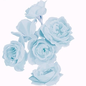 [Large] Light Blue Roses on Light Pink