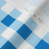 Small Scale Gingham Hanukkah Blue and White - Copy - Copy