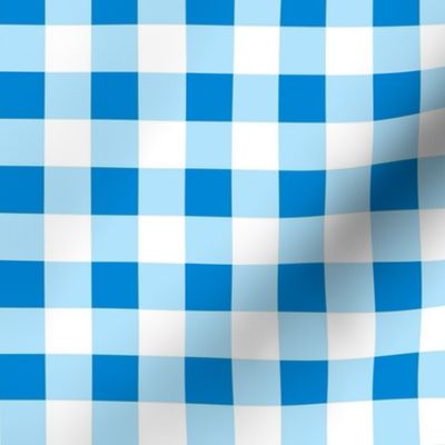 Small Scale Gingham Hanukkah Blue and White - Copy - Copy