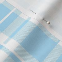 Large Scale Light Blue Plaid Hanukkah Coordinate