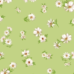 Cute Daisy Floral on Light Green