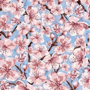 Cherry Blossom Flowers, Spring and Summer Floral Garden, Flowering Sakura Pink and White Blooms on Blue