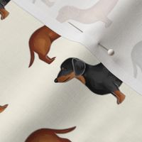 Dachshunds in Rows