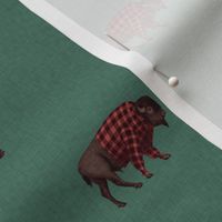 Small-Scale Bison in Buffalo Plaid Shirts