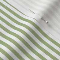Candy Stripes Strawberry Green and White