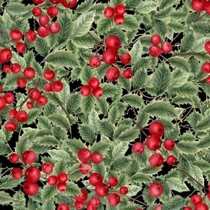 Holly Leaves And Berries