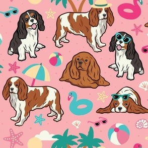 Large Cavalier Dogs at the Beach - Pink