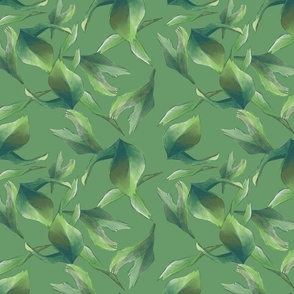 Emerald Green Australian Botanical Waratah Leaves