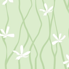 Trailing vines with white begonia flowers on pastel green, Large, 4 inch flowers