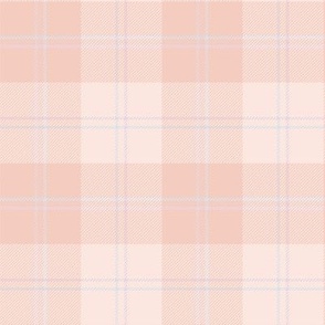 Coordinating Plaid for Pantone’s Intangible palette / Pale Pink / monochromatic / see collections