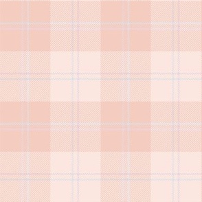 Pale Pink Plaid Fabric, Wallpaper and Home Decor | Spoonflower