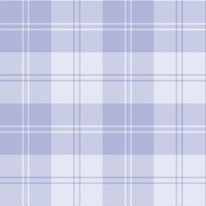 Coordinating Plaid for Pantone’s Intangible palette / Pale Blue /  monochromatic / See collections