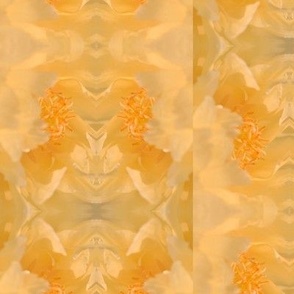 Fruit Bats Floral Illusion - Orange and Yellow - Original Photography - Southern Peony – Half-Step Vertical Stripe - Mid-Century Modern Retro