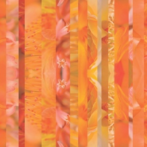 Whole-Garden Floral - Electric Orange and Warm Citrus Yellow - Original Botanical Photography - Plants and Abstract Flower Petals - Mixed Stripes  