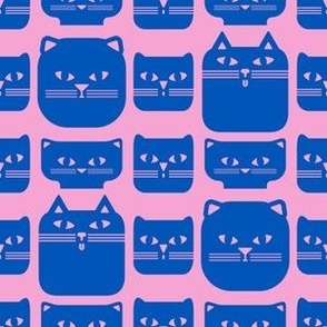 Cat heads in blue pink. Small scale