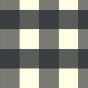 gingham check-dull black_ greys and off-white