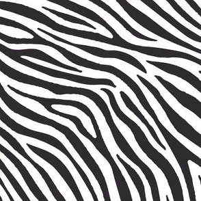 Zebra black and white (12 inch)