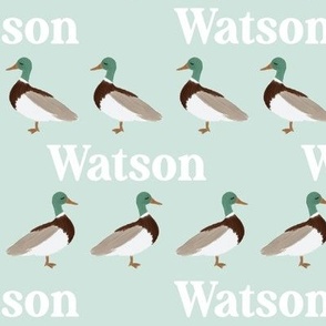 Watson: Augillion Font on Aqua Mallards