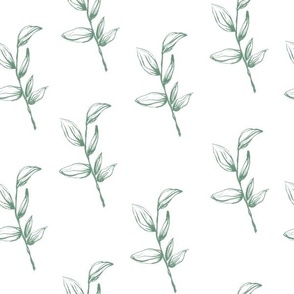 minty green floral stems