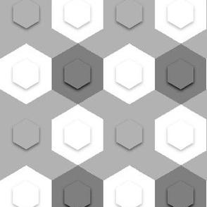 3D Hexagon Checkerboard, Gray & White