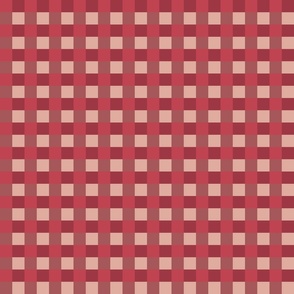 Gingham Checks in berry reds