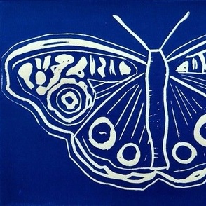 Buckeye Butterfly Block Print