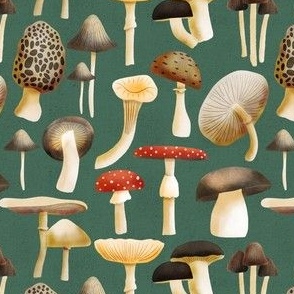 mushrooms on green